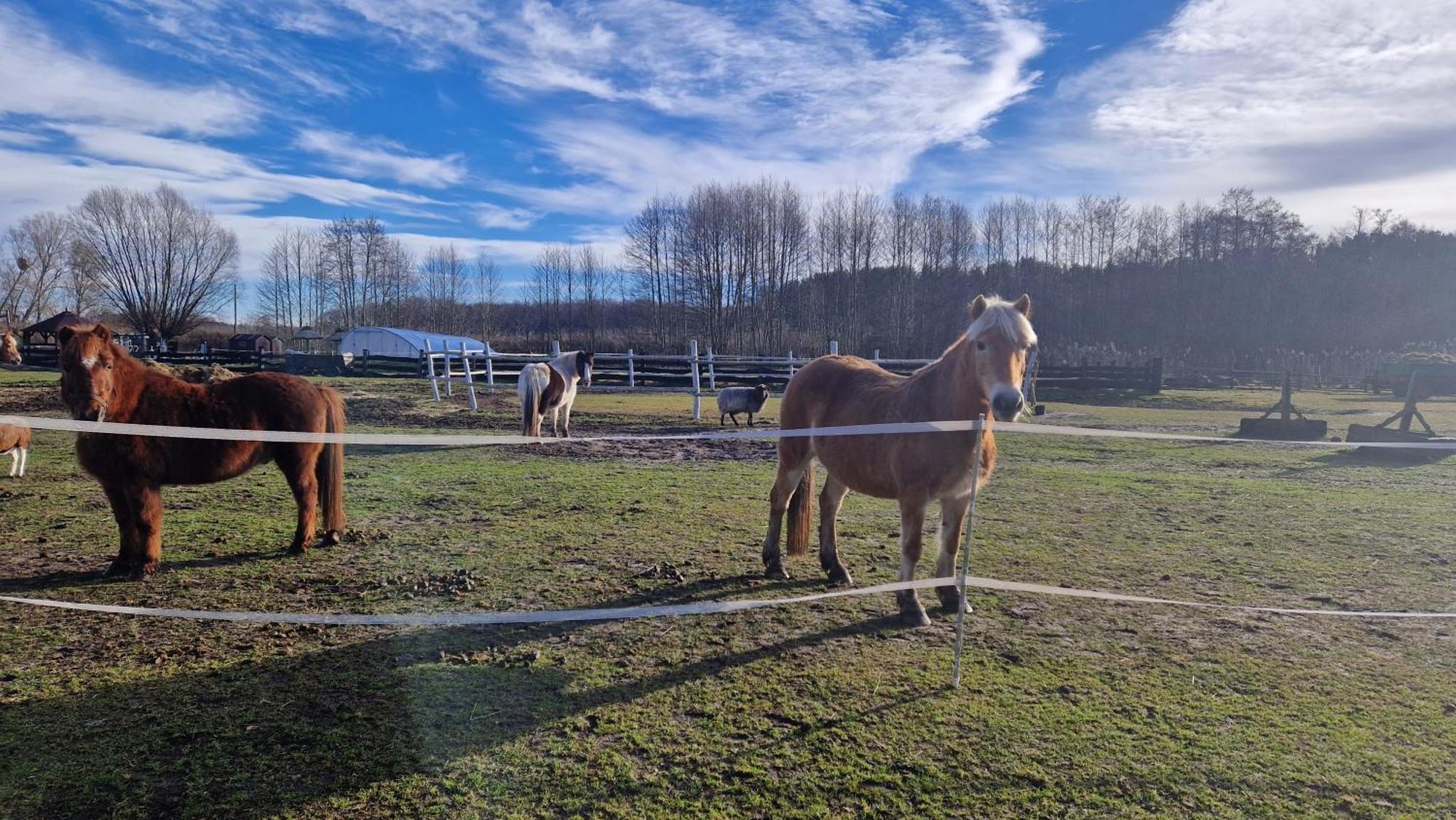 Rancho Colorado Villa Trzciel Eksteriør bilde