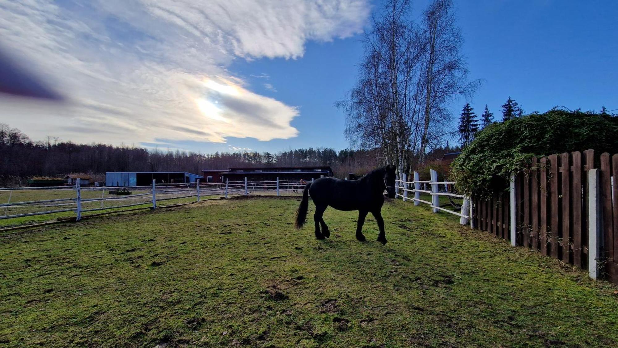 Rancho Colorado Villa Trzciel Eksteriør bilde