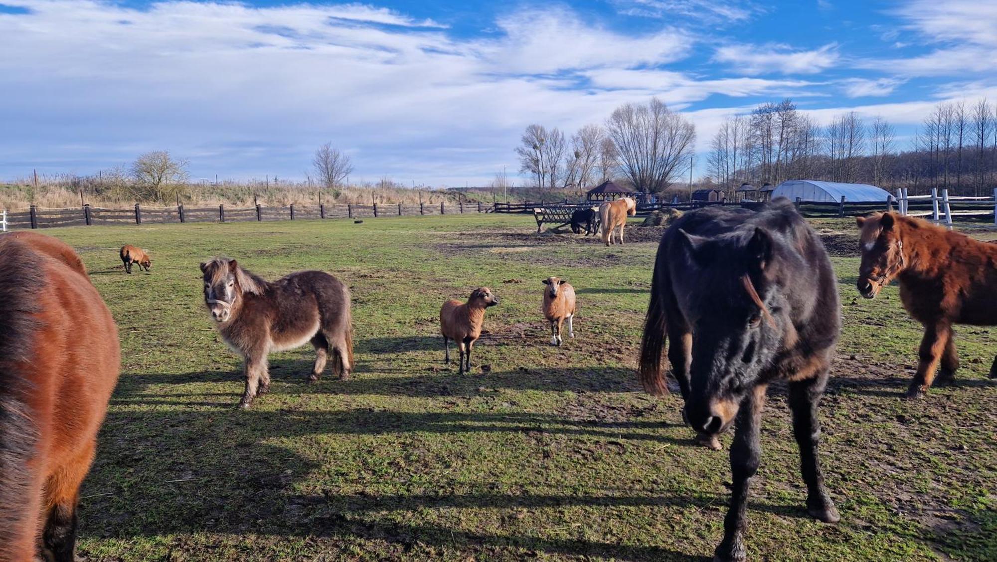 Rancho Colorado Villa Trzciel Eksteriør bilde