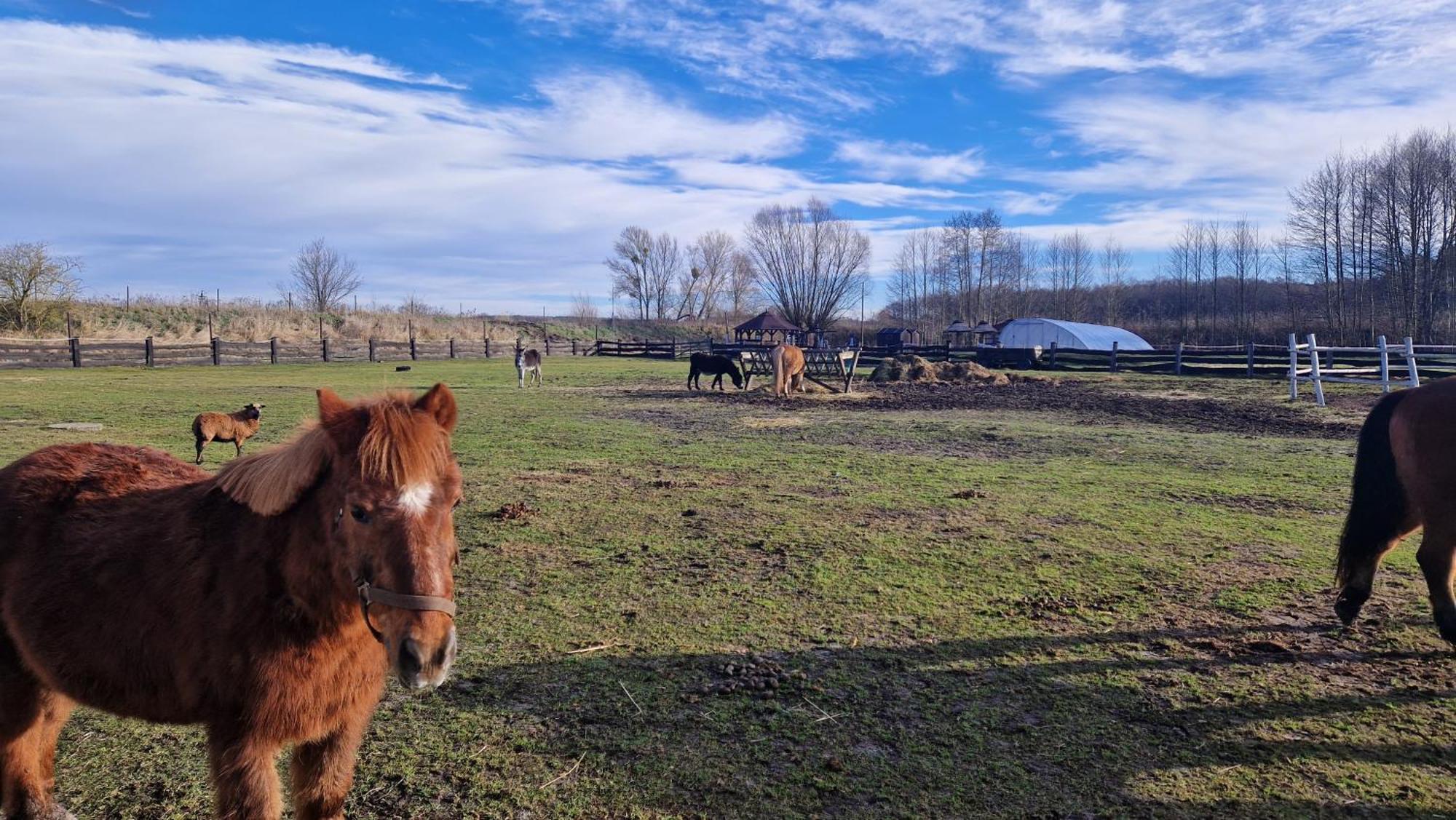 Rancho Colorado Villa Trzciel Eksteriør bilde