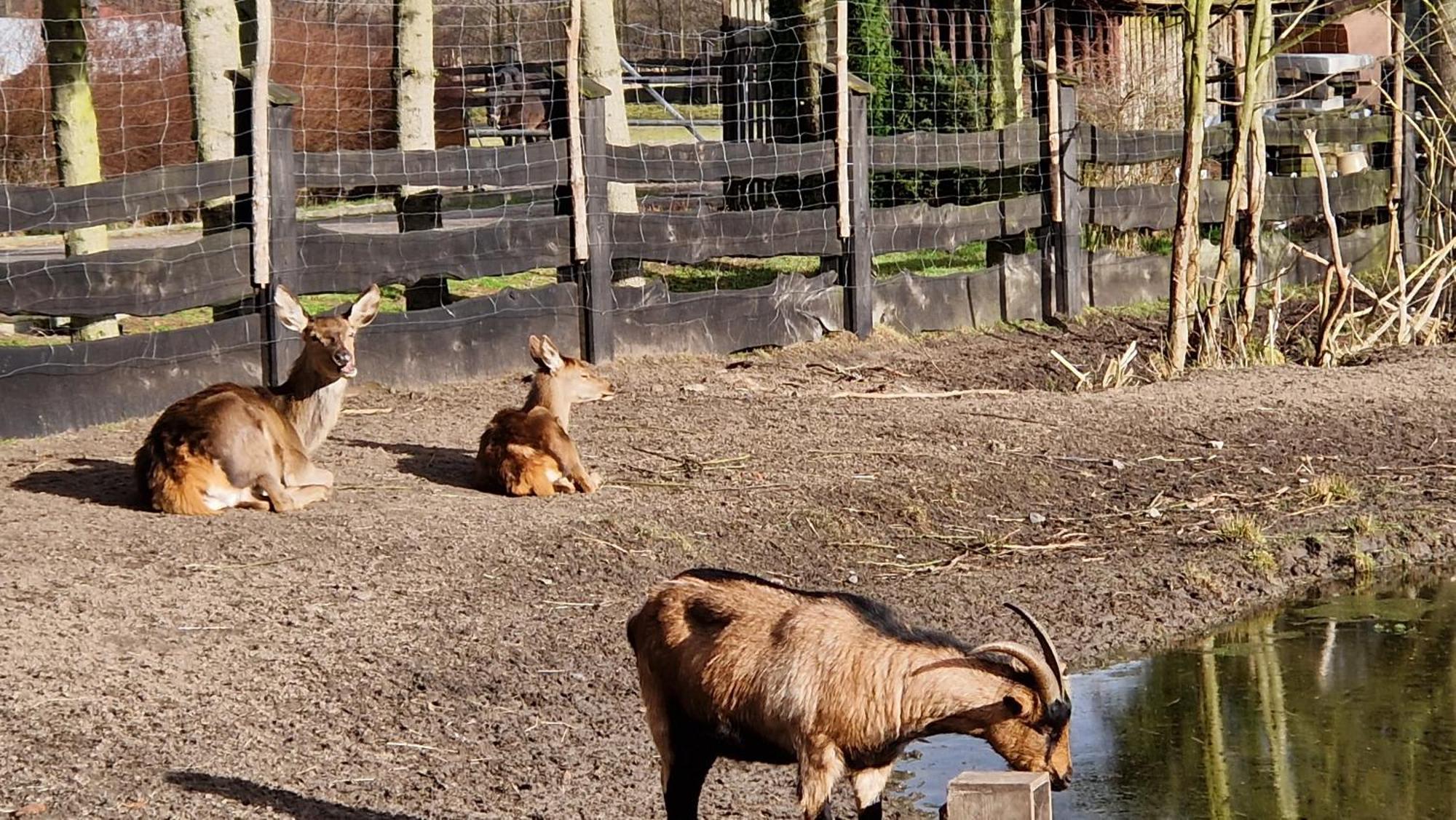 Rancho Colorado Villa Trzciel Eksteriør bilde