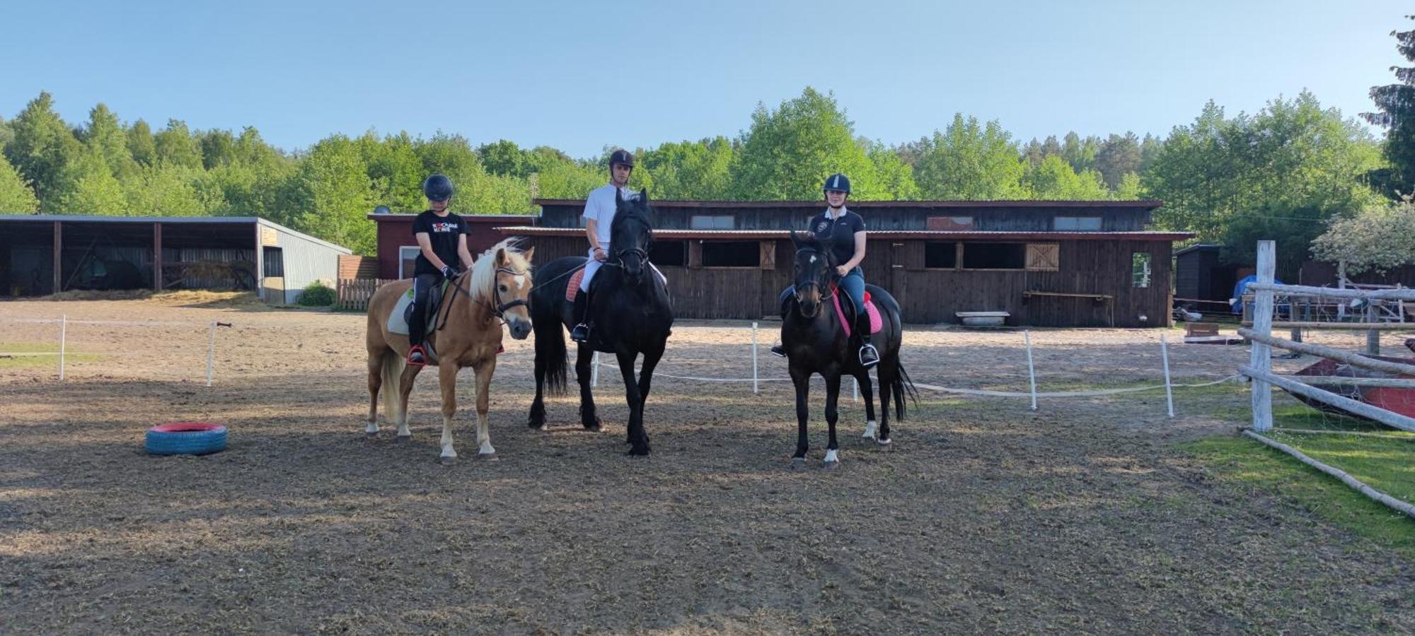 Rancho Colorado Villa Trzciel Eksteriør bilde