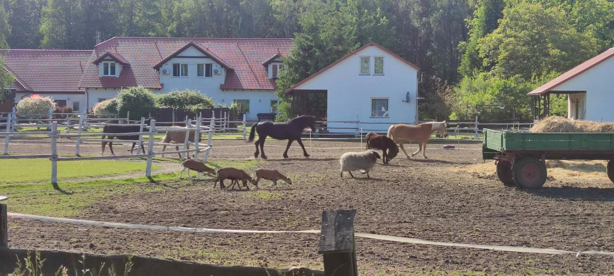 Rancho Colorado Villa Trzciel Eksteriør bilde